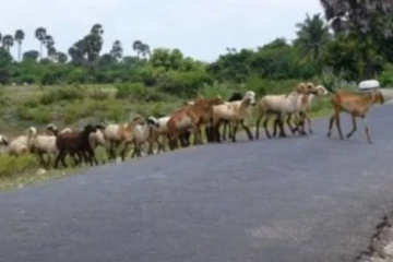 யாழ் வடமராட்சியில் சகல வசதிகளையும் கொண்ட ஓர் அழகிய கிராமம்; எவ்வளவு சிறப்புக்கள் தெரியுமா?