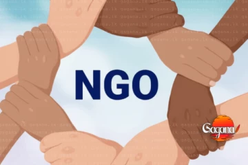 විශාල පිරිසකට රැකියා අහිමි වෙන ලකුණු - දරුණුතම මූල්‍ය අර්බුදයක්