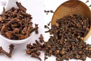 தினமும் காலை 2 கிராம்பு சாப்பிட்டு வந்தால் என்ன நடக்கும் தெரியுமா? ஏராளமான நன்மைகள்