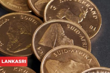 கல்லறையை சுத்தம் செய்த நபருக்கு கிடைத்த பெரும் புதையல்... நீதிமன்றம் அளித்துள்ள ஏமாற்றம்