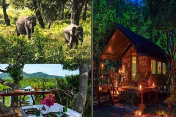 இலங்கை வந்தால் இந்த பூங்காவை மிஸ் பண்ணிறாதீங்க..! இயற்கை அழகு கொட்டி கிடக்கும் இடங்கள்