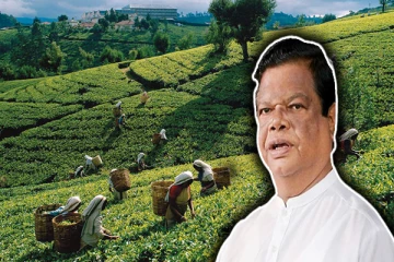 நட்டத்தில் இயங்கும் பெருந்தோட்ட நிறுவனங்கள் : மீளப்பெற அரசாங்கம் பரிசீலனை