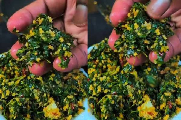 ரத்த சோகைக்கு முடிவு கட்டும் முருங்கைகீரை பொரியல்! இவ்வளவு மருத்துவ குணங்கள் இருக்கா? | Amazing Health Benefits Of Drumstick Leaves