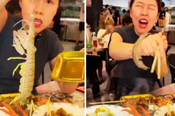 உயிருடன் இருந்த இறாலை சாப்பிட முயன்ற பெண்ணுக்கு நேர்ந்த கதி ; வைரலாகி வரும் வீடியோ