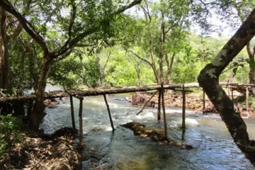 காட்டிற்குள் காதலியுடன் ஒதுங்கிய நபர் - பதறியடித்து ஓடி வந்த ஊர்மக்கள்; சோக சம்பவம்
