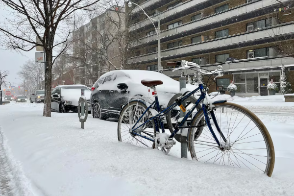 டொராண்டோவில் கடும் பனிப்பொழிவு பாடசாலைகள் மூடல் | Toronto Heavy Snow Gta Impact