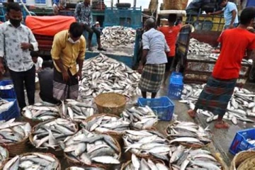 இலங்கையில் மீன் நுகர்வில் ஏற்பட்டுள்ள மாற்றம்