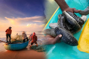 அழிக்கப்படும் நூற்றுக்கணக்கானோரின் வாழ்வாதாரம்: அன்னராசா காட்டம்