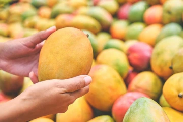 மாம்பழம் அதிகளவில் உண்பது நல்லதா..!