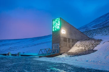 හැමෝගෙම රහස් තැන්පතු තියෙන ලෝකයේ බලගතු සහ ආරක්ෂිතම බැංකුව...