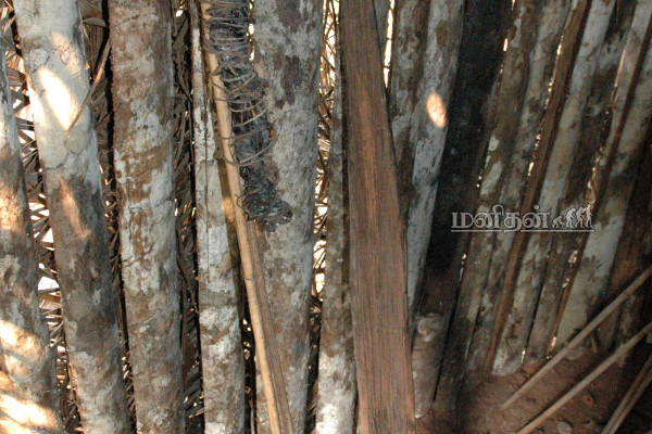 26 வருடமாக தனிமையில் வாழ்ந்த பழங்குடி இனத்தின் கடைசி மனிதன்! பிணமாக மீட்கப்பட்ட அவலம் | Man Of The Hole Last Known Member Of Uncontacted