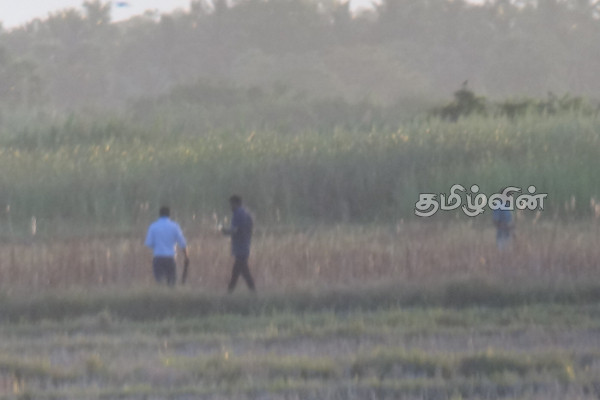 யானைகளை வெளியேற்றும் பணிகள் தொடர்ச்சியாக முன்னெடுப்பு | Elephant Evacuation Operations Continue