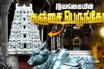 யாழில் பிறந்தவரால் கொழும்பில் உருவான பெருங்கோயில் (வீடியோ)