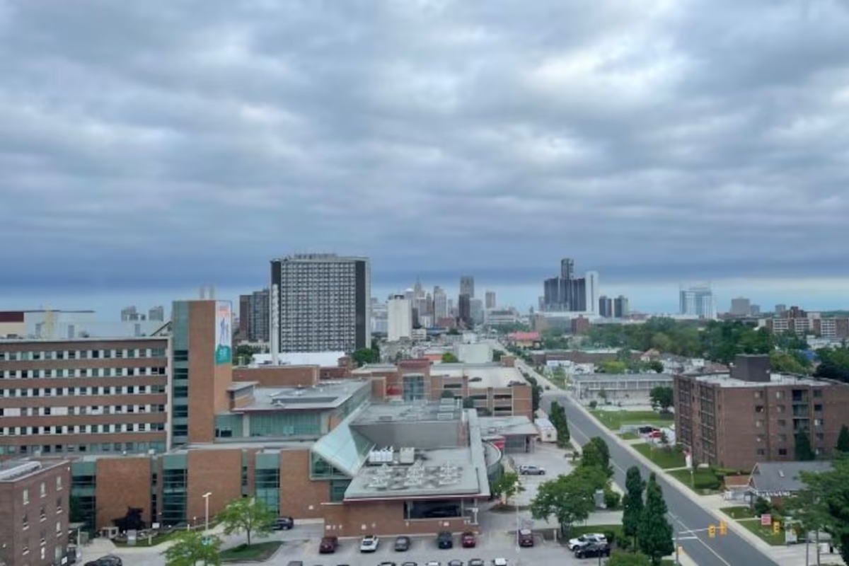 கனடாவில் அலர்ஜி பாதிப்பினால் மோசமாக பாதிக்கப்பட்ட நகரம் | Sneeze City Why Windsor Is Canadas Worst Place