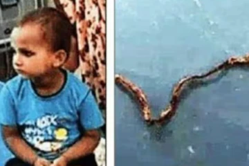 பாம்பை சொக்லேட் போல் மென்று தின்ற சிறுவன்- பகீர் சம்பவம்