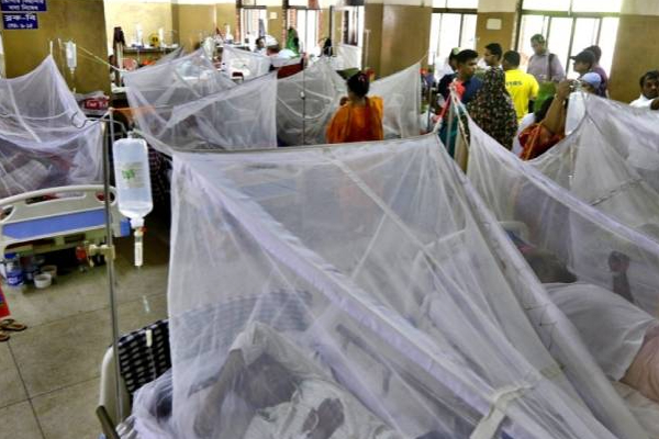 வட மாகாண மக்கள் இதனை சாதாரணமாக எடுத்துக்கொள்ள வேண்டாம்! | Northern Province Dengue Fever Rise People Alert