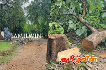 இராணுவத்தினர் வெளியேறிய காணியில் வளங்கள் அழிப்பு!