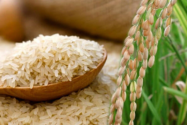 இம்மாதம் ஏலம் விடப்பட உள்ள ஐந்து அரிசி ஆலைகள்! | Five Rice Mills To Be Auctioned This Month