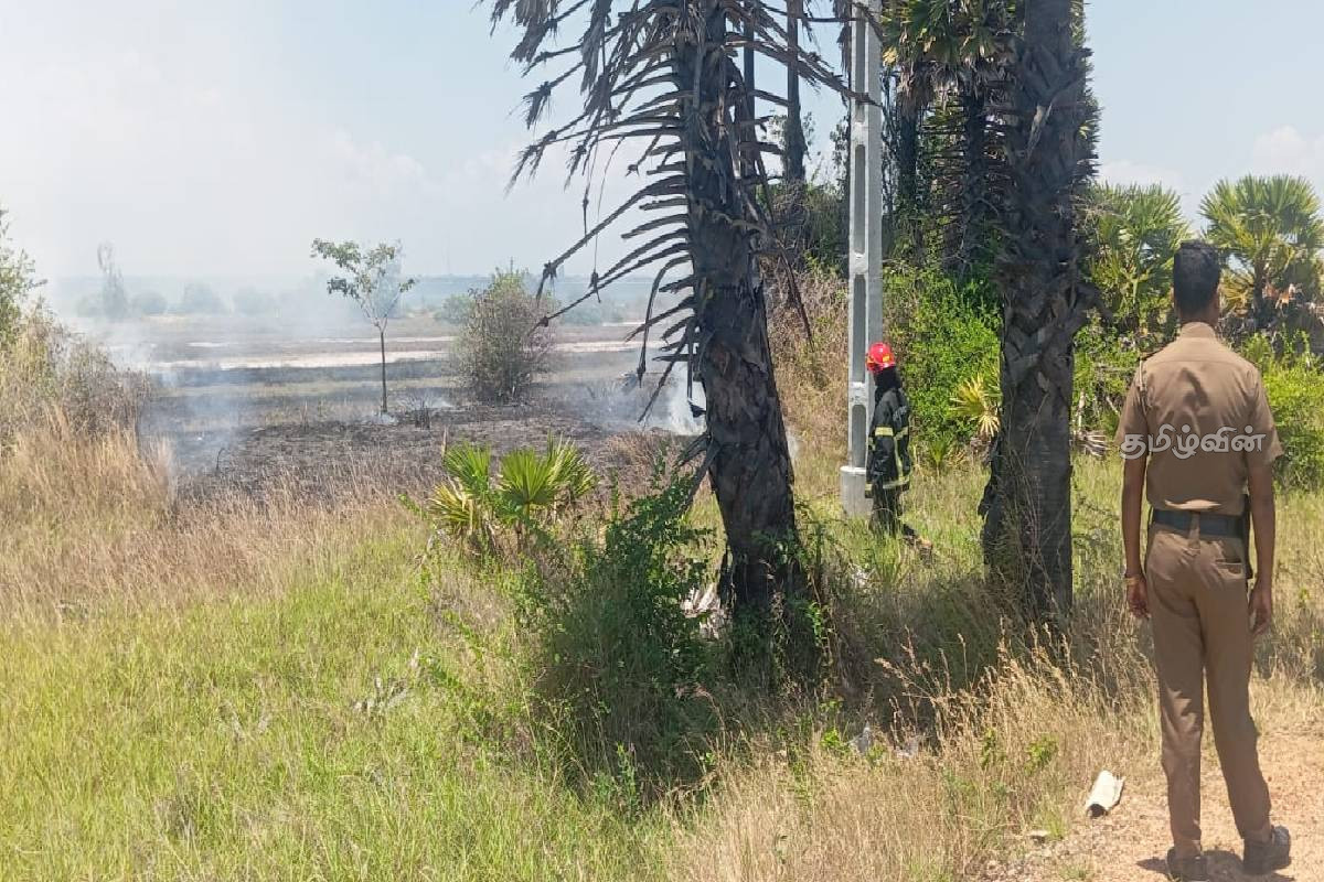 அல்லைப்பிட்டியில் நடந்த தீ விபத்து - பல ஏக்கர் புற்றரை எரிந்து நாசம்! | Fire Accident In Allaipitiya