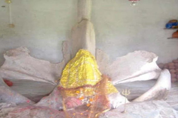 திமிங்கலத்தை தெய்வமாக வணங்கும் மக்கள்: பின்னணியில் பகீர் காரணம் | Whale Fish 300 Years Worshiped Temple India