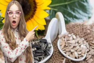தினமும் சூரியகாந்தி விதை சாப்பிட்டால் உடலில் இத்தனை ஆரோக்கிய நன்மைகளா?