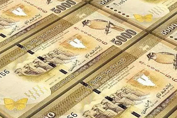 பணத்தை விடுவிக்க நடவடிக்கை ;அமைச்சர் நளீன் பெர்னாண்டோ | Action To Release Money Minister Naleen Fernando