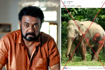 இலங்கை நடிகர் கார் விபத்திற்கும் இந்தியாவில் கொல்லப்பட்ட யானைக்கும் தொடர்பு? உண்மையை விளக்கும் செய்தி