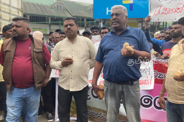 வெளிநாட்டு உருளைக்கிழங்கு இறக்குமதிக்கு எதிராக நுவரெலியாவில் போராட்டம் | Protest Against Potato Import In Nuwara Eliya