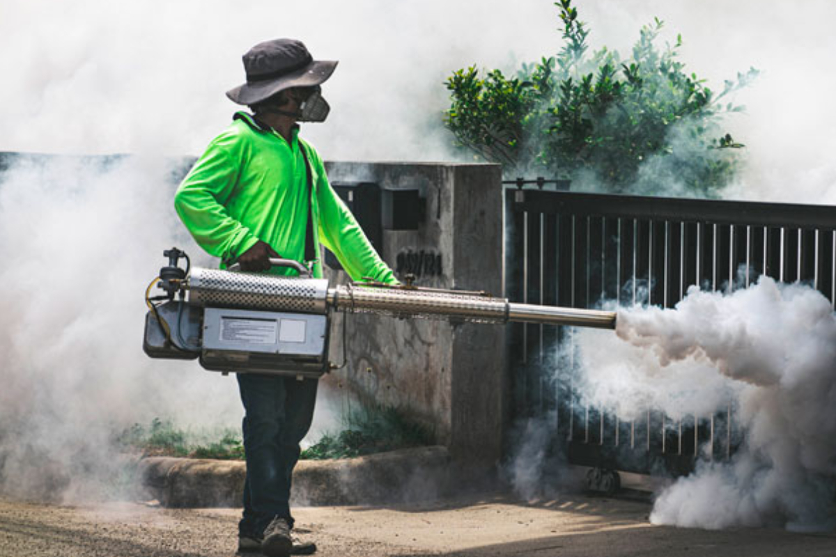 14 மாவட்டங்களில் டெங்கு அபாயம் தீவிரம் | Dengue Risk Is High In 14 Districts