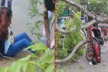 மோட்டார் சைக்கிளில் பயணித்த யுவதிக்கு எமனான மரம்