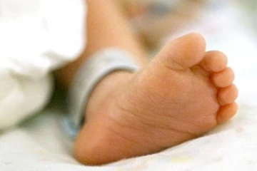 තම පියාගේම වෑන් රථයට යටවී අවුරුදු 2 ක් වයසැති දැරිය මියයයි