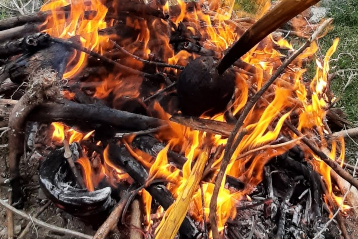 2026: நாளை ஆடிப்பிறப்பு அன்று இதை மட்டும் செய்ய மறக்காதீர்கள் | Why Burning Coconut Is Important On Aadi 1St Day 2026: நாளை ஆடிப்பிறப்பு அன்று இதை மட்டும் செய்ய மறக்காதீர்கள் | Why Burning Coconut Is Important On Aadi 1St Day