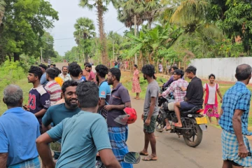 முல்லைத்தீவில் திடீரென புகுந்த காட்டு யானையால் பரபரப்பு