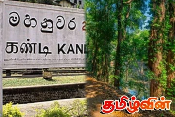 பொறியில் சிக்கியிருந்த சிறுத்தை உயிருடன் மீட்பு