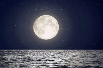 வெளிவரும் ரகசியங்கள்....நிலவில் ஏற்பட்ட நிலநடுக்கம்...கண்டறிந்த ரோவர்