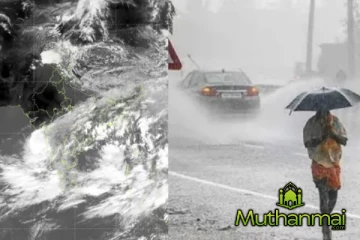 நாட்டில் பல இடங்களில் பலத்த காற்று: விடுக்கப்பட்ட எச்சரிக்கை