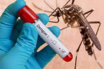 இலங்கையில் இந்த மாவட்டத்தில் டெங்கு நோய் பரவும் அபாயம் அதிகம்!
