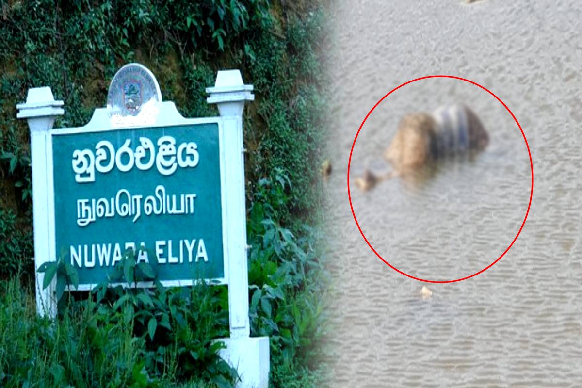 நுவரெலியா கிரகரி வாவியில் அடையாளம் தெரியாத சடலம் மீட்பு - பொலிஸார் விசாரணை | Unidentified Body Recovered In Nuwara Eliya