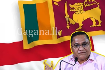 ලංකාව - ඉන්දුනීසියාව එක්ව මොකක් ද මේ ගන්න යන වාසිය. - කැබිනට් අනුමැතියත් හිමිවෙලා.