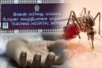யாழில் டெங்கு காய்ச்சலால் மற்றுமொரு இளைஞன் உயிரிழப்பு
