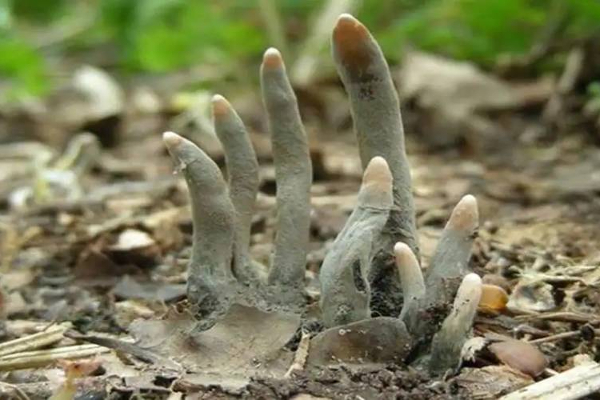 லண்டனில் 