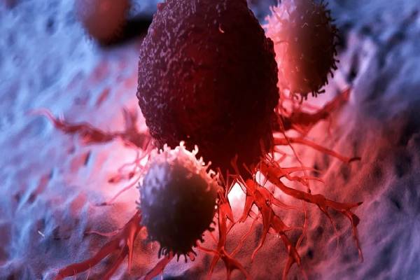 மிகவும் ஆபத்தான புற்றுநோய் எது? எத்தனை சதவீதம் உயிர் வாழலாம்? | Most Dangerous Cancer How Many Years Can You Live மிகவும் ஆபத்தான புற்றுநோய் எது? எத்தனை சதவீதம் உயிர் வாழலாம்? | Most Dangerous Cancer How Many Years Can You Live