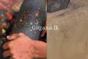 මෙහෙම දෙයක් නම් කවුරුත් හිතන්නවත් නැතුව ඇති - මිරිස් ගලක් යටින් මතු වුණ මතුවිල්ලක්..