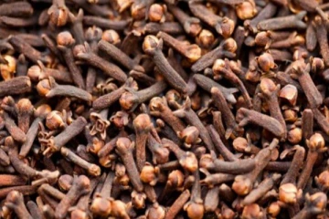 சர்க்கரை நோயாளிகளுக்கு மருந்தாக பயன்படும் கிராம்பு - எப்படி தெரியுமா?