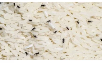 அரிசியில் வண்டு அதிகமாக இருக்கா?அப்போ இதை பண்ணுங்க போதும் - சூப்பர் டிப்ஸ்!