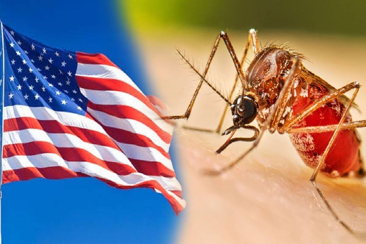நாட்டின் டெங்கு ஒழிப்பு நடவடிக்கைக்கு அமெரிக்கா ஒத்துழைப்பு | Us Supports Country S Dengue Eradication Efforts
