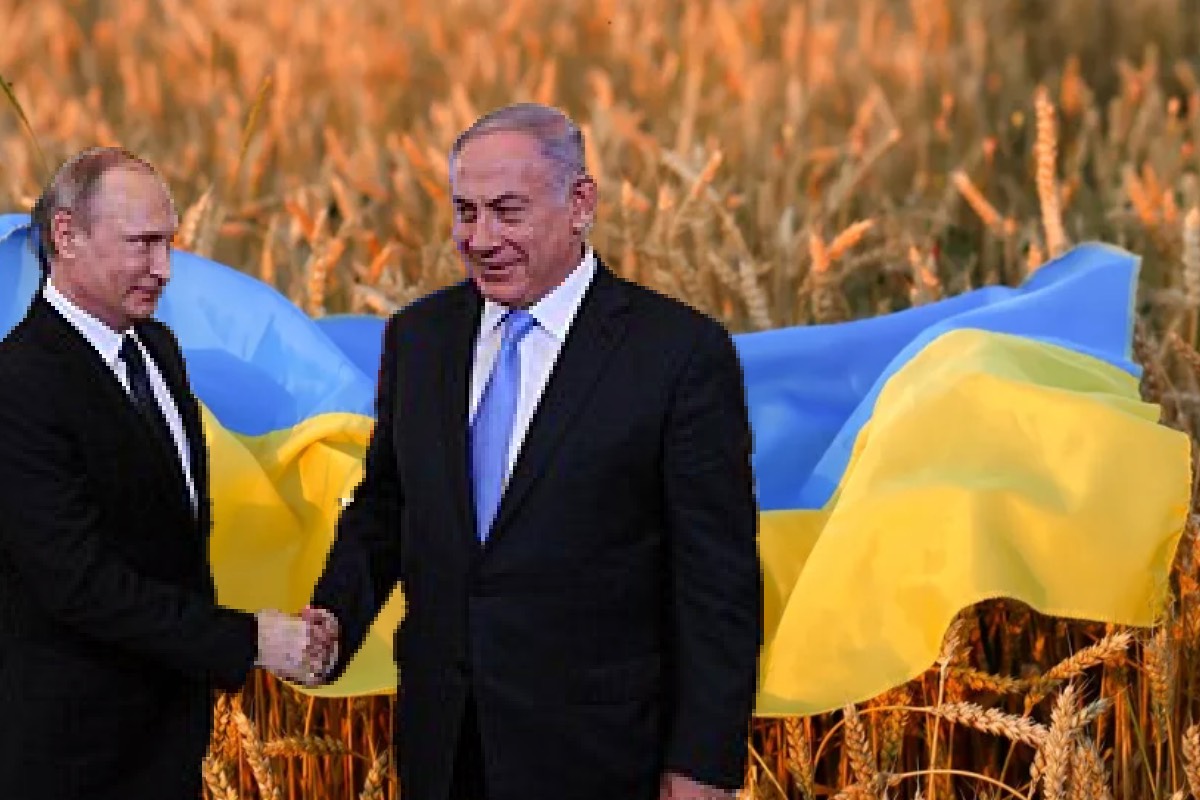 உக்ரைனில் இருந்து திருடிய உணவு தானியங்களை வாங்கும் இஸ்ரேல்: ஜெலென்ஸ்கி பகீர் குற்றச்சாட்டு | Israel Buy Stolen Ukraine Grains From Russia