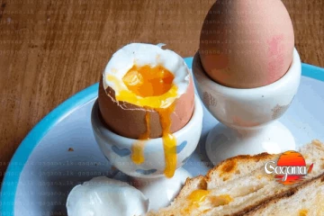 දුඹුරු බිත්තර වඩා පෝෂණදායකද?