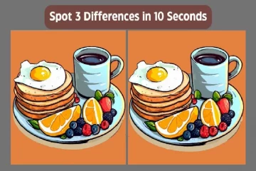 காலை உணவு பாத்திரம் - ஒரே மாதிரியான இந்த படத்தில் இருக்கும் வித்தியாசங்கள் என்ன?