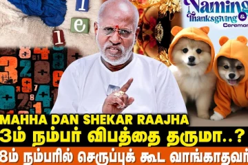 வீட்டு விலங்குகளுக்கும் numerology படி பெயர் வைக்கணுமா?